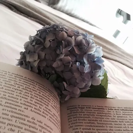 Chocolat Au Jaktstuga *